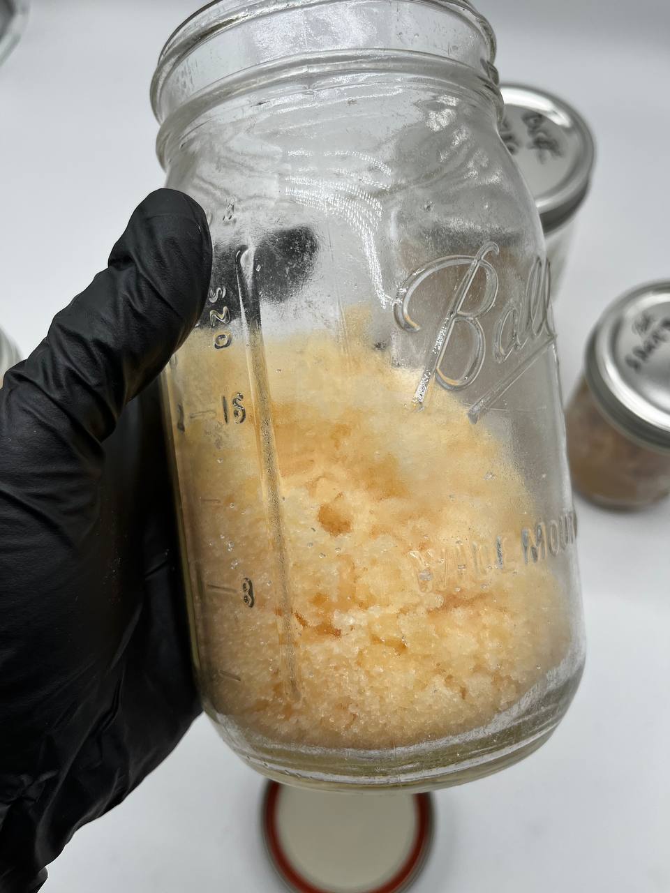 LICENSED CRUMBLE LICENSED CRUMBLE - Image 1