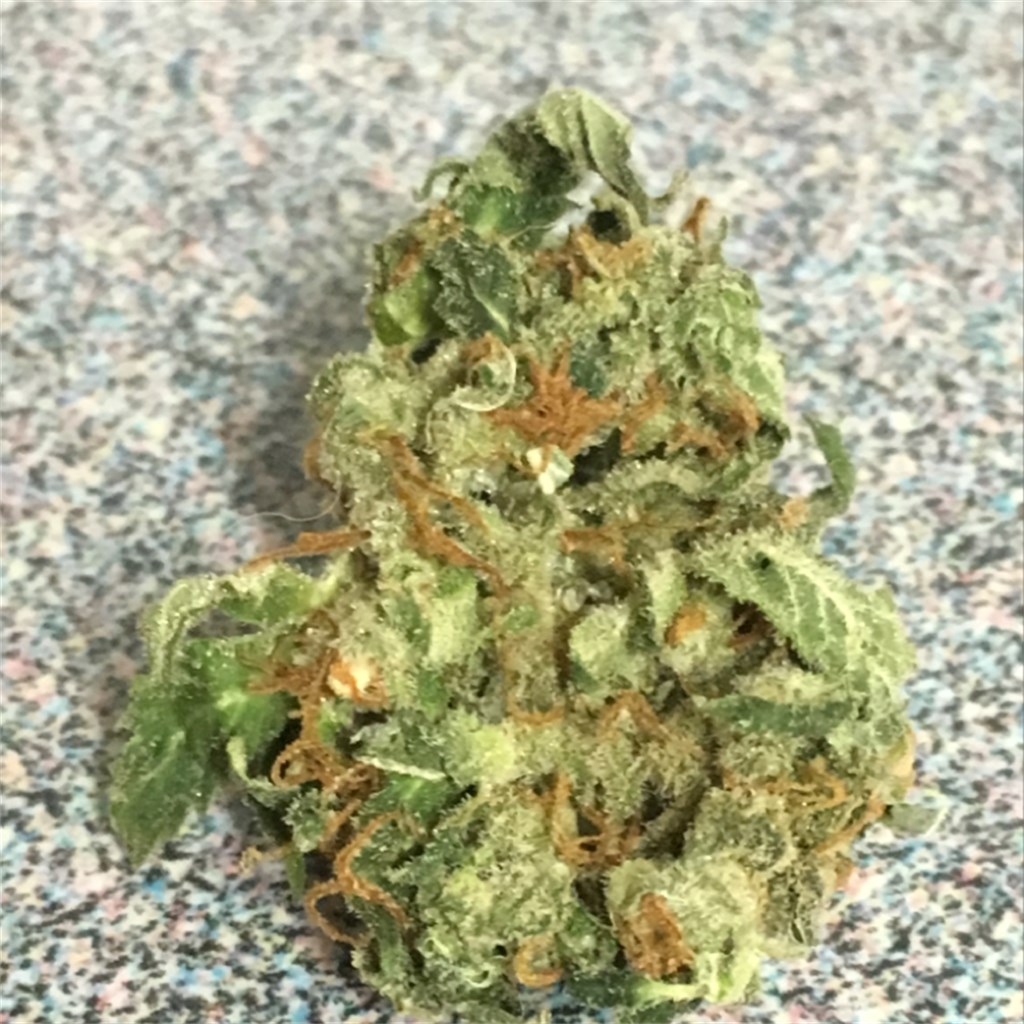 Casey-Jones-1.jpg Casey Jones - Image 1