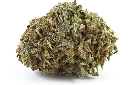 Darth-Vader-Indica-1-1.jpg Darth Vader – Indica - Image 1