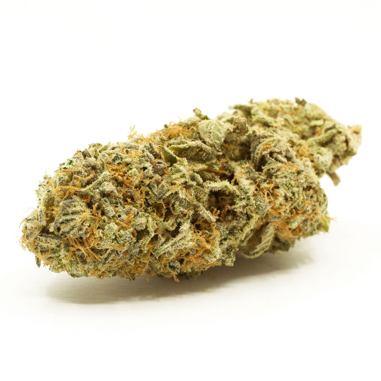 G3-Strain.jpg G3 Strain - Image 1