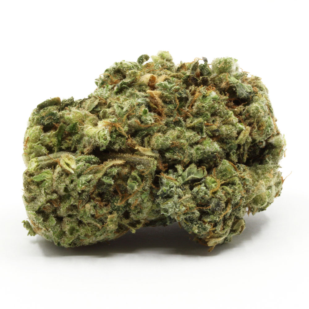 Sugar-Black-Rose.jpg Sugar Black Rose - Image 1