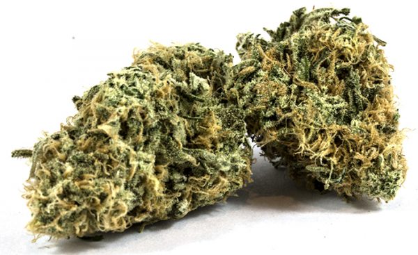 Zombie-Kush-600x367-1.jpg Zombie Kush - Image 1